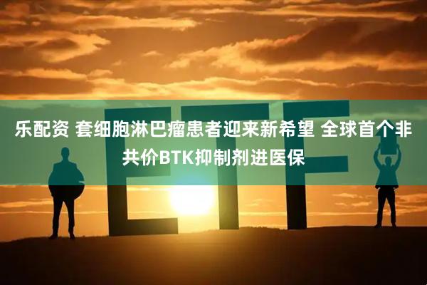 乐配资 套细胞淋巴瘤患者迎来新希望 全球首个非共价BTK抑制剂进医保