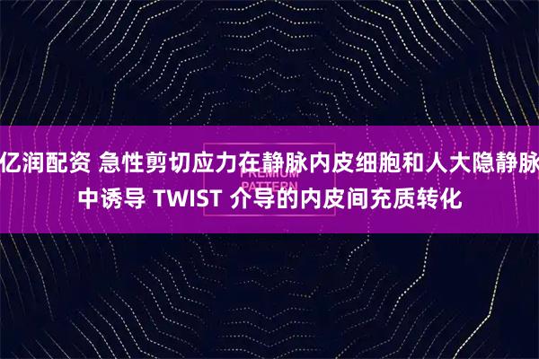亿润配资 急性剪切应力在静脉内皮细胞和人大隐静脉中诱导 TWIST 介导的内皮间充质转化
