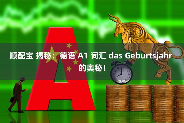 顺配宝 揭秘：德语 A1 词汇 das Geburtsjahr 的奥秘！